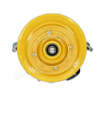 Limitatore di velocità R1 250 bidirezionale omologato