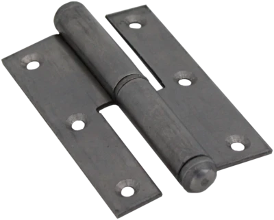 Cerniera PAUMELLES ottone lucido 100x60 SX